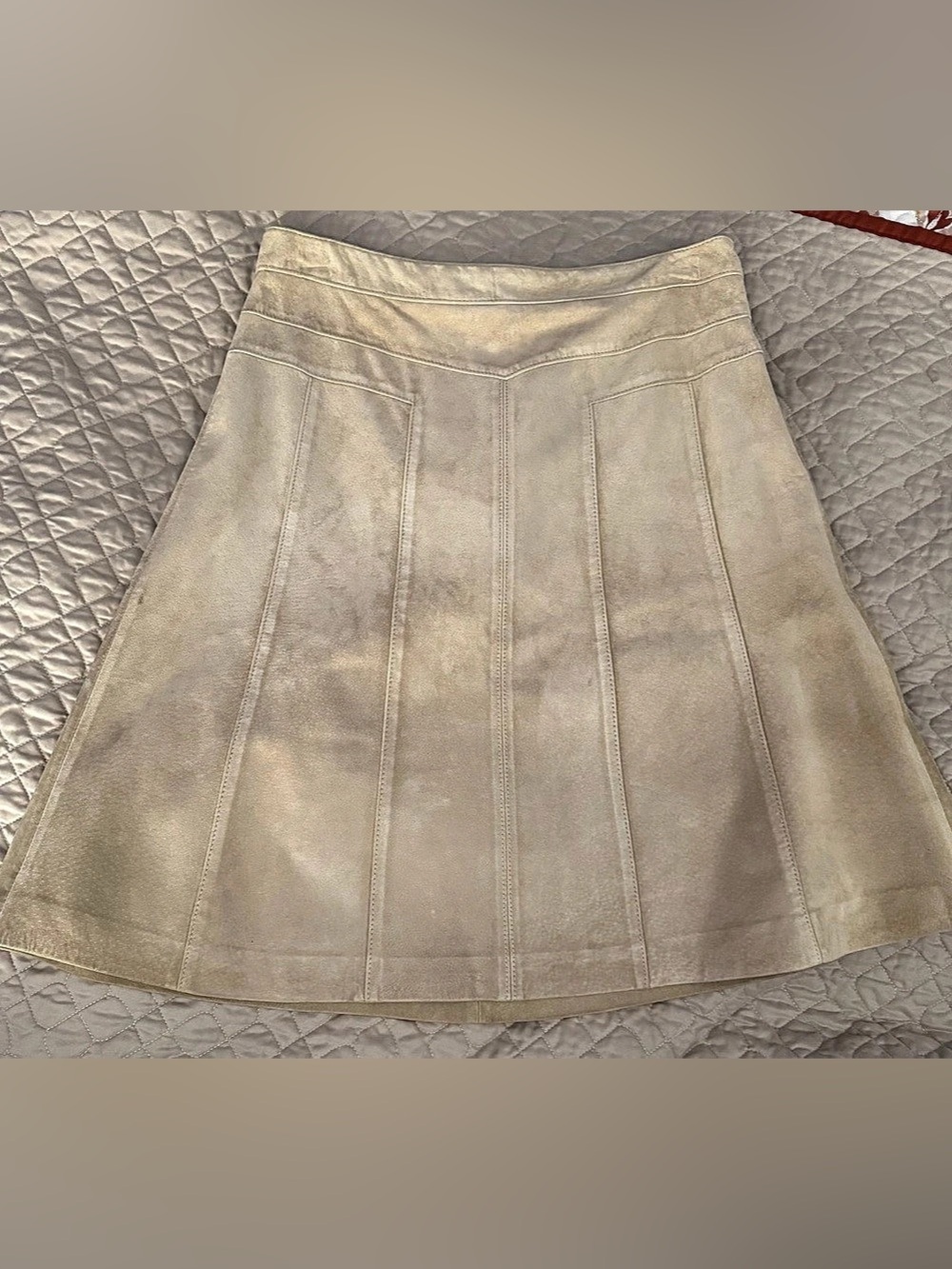 Ann Taylor Loft Leather A-Line Skirt in Beige Size 8P